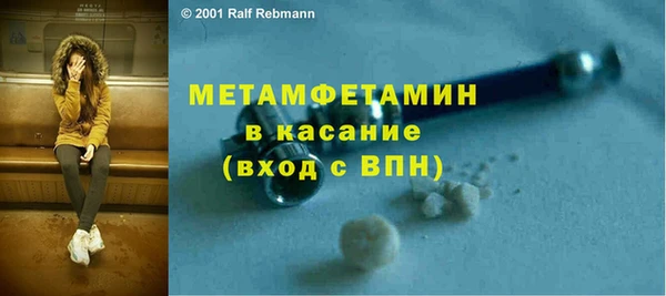 прущие грибы Балахна