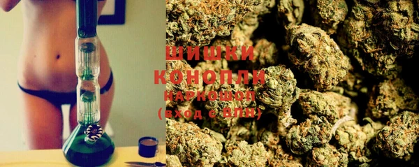 прущие грибы Балахна