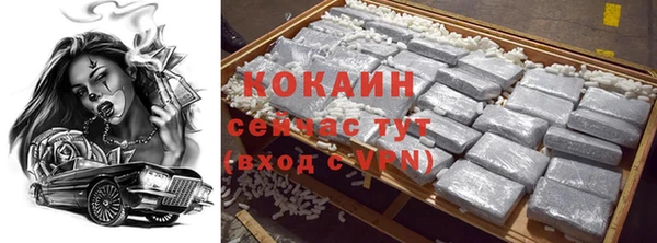 прущие грибы Балахна