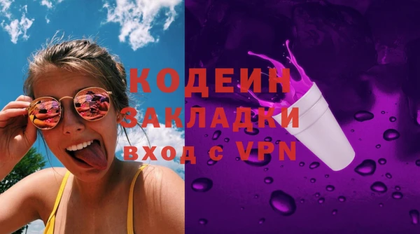 прущие грибы Балахна